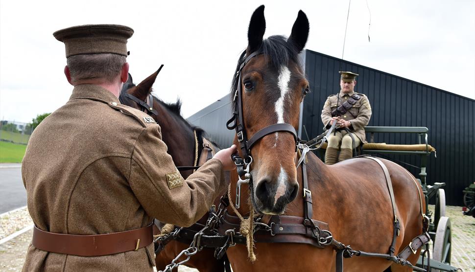 Horses and Wagons at The Royal Logistic Corps Museum