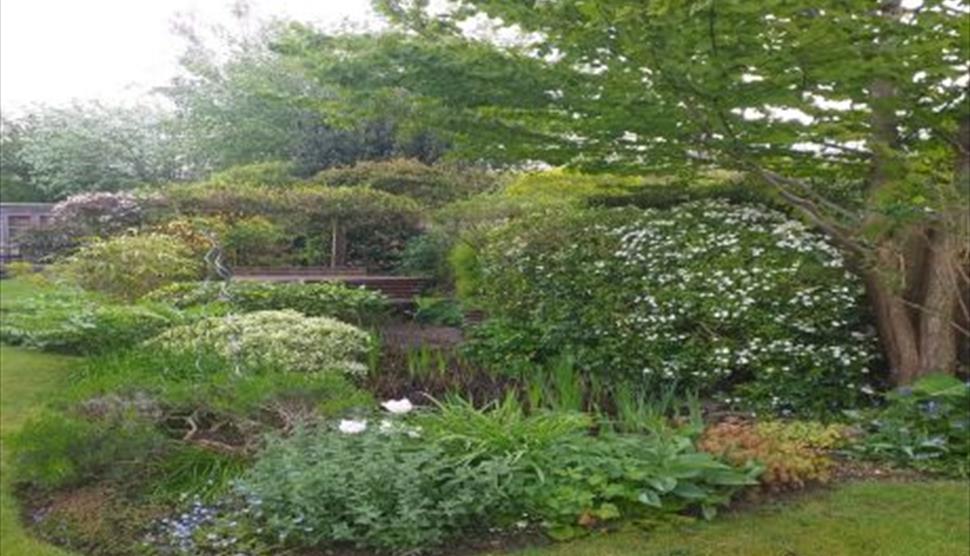 Fordingbridge Open Gardens