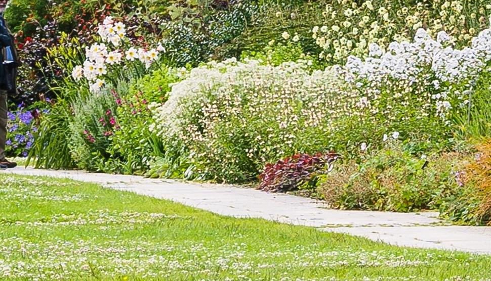 Masterclass: Perennial Borders at Sir Harold Hillier Gardens