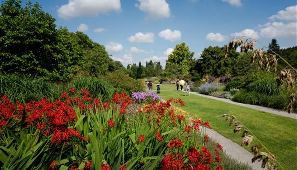 Summer Evening Garden Tour at Sir Harold Hillier Gardens