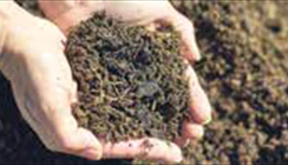 Composting and Mulching Class at Sir Harold Hillier Gardens
