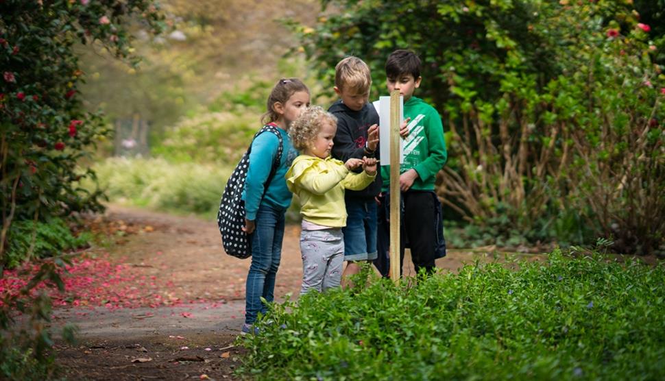 Garden I Spy at Sir Harold Hillier Gardens