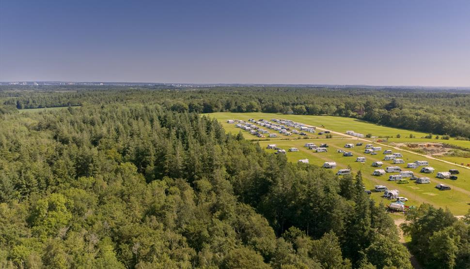 Beaulieu Estate Pop-up Campsite