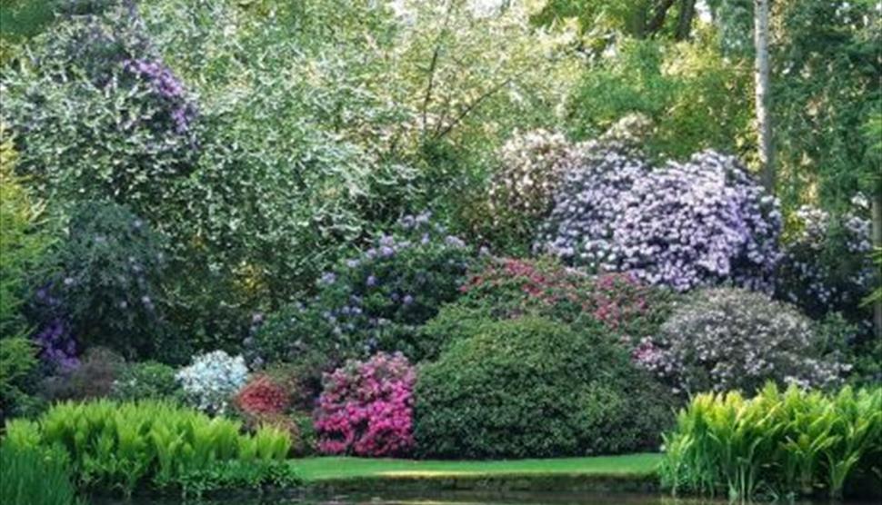 Longstock Park Water Gardens Open