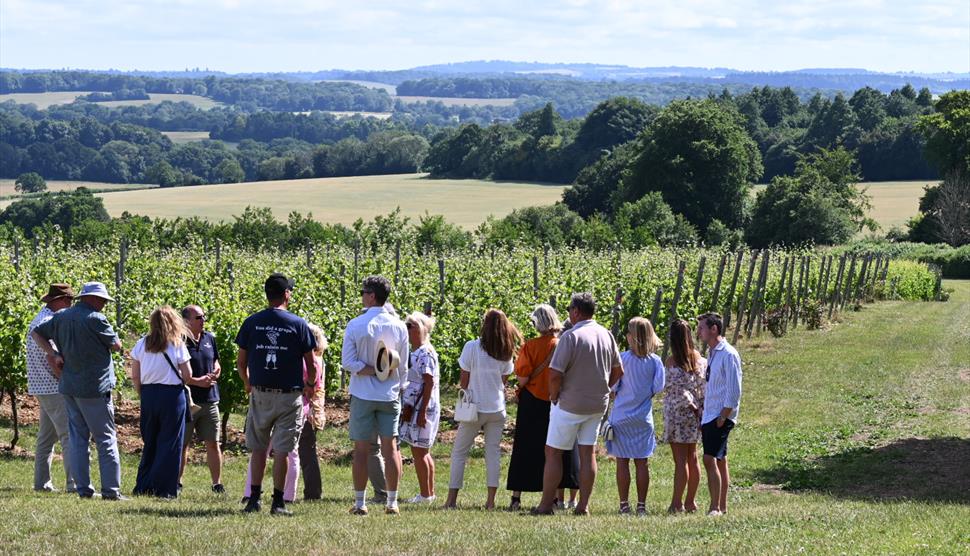 Hattingley Valley Wines Tour