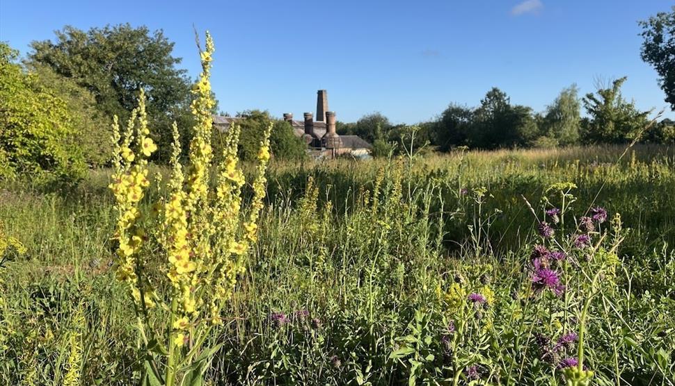 Twyford Waterworks Open Day