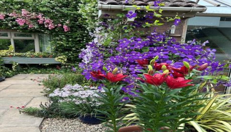 NGS Garden Open for Charity 13th and 14th June 2-5 pm 5 Oakfields, Allbrook, Eastleigh SO50 4RP