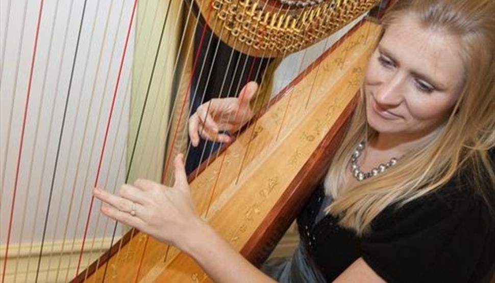 Teddy Bear Concerts The Harp: Beauty & Mystery