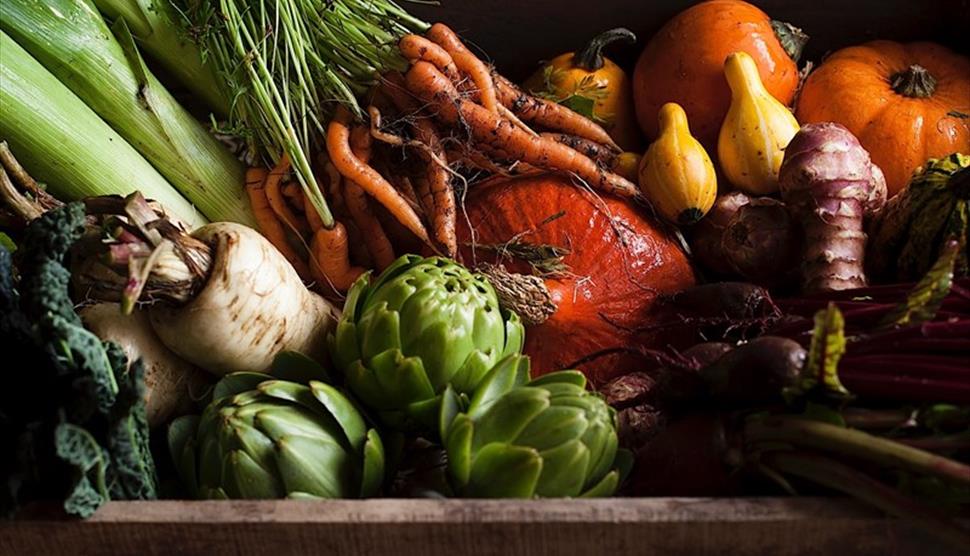 3 Course Meal to Impress your Guests! with Lewis Hamblet
