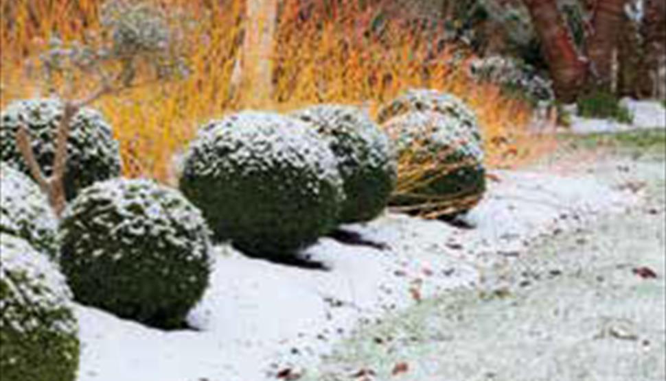 Christmas Gardener's Breakfast and Tour