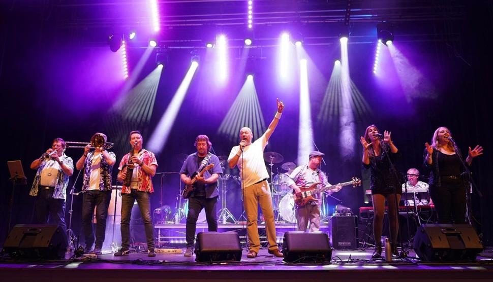Photograph showing tribute band No Jacket Required live in concert