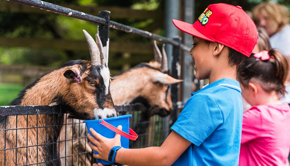 Staunton Farm - Visit Hampshire