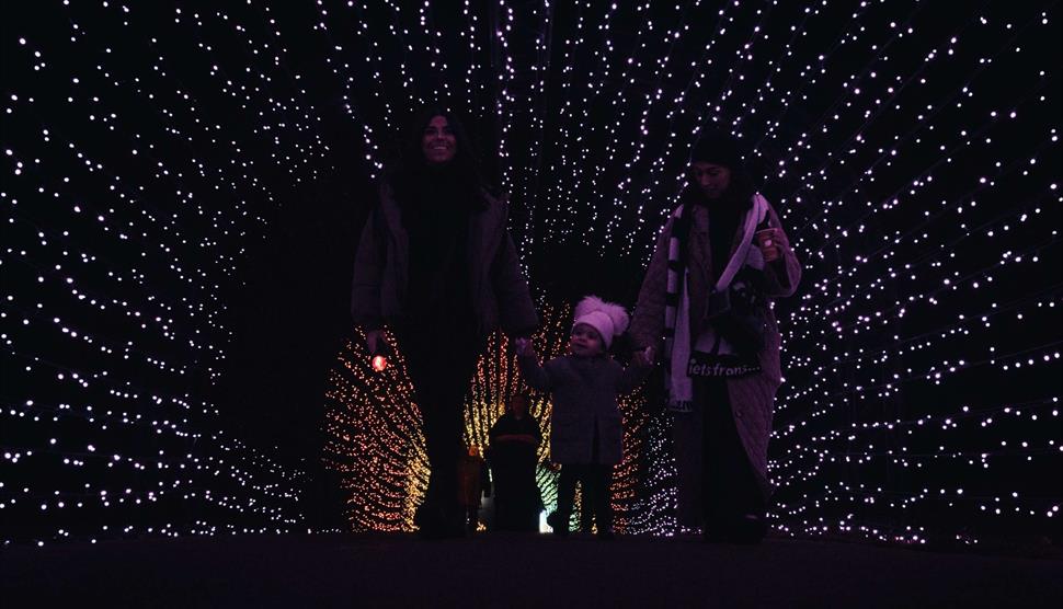 Enlightened Staunton