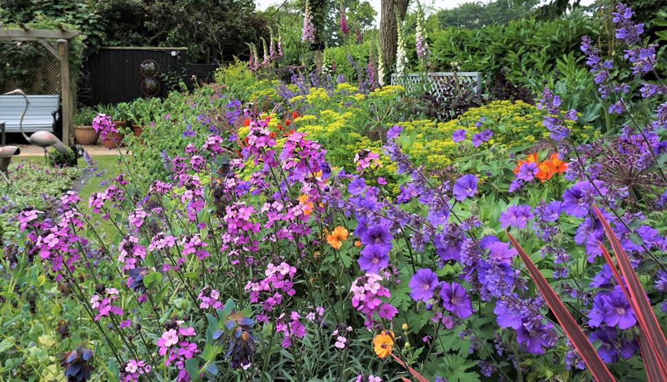 Lymington Open Gardens