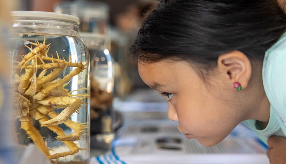 Image of child interacting with an exhibit at the NOC Ocean Open Day