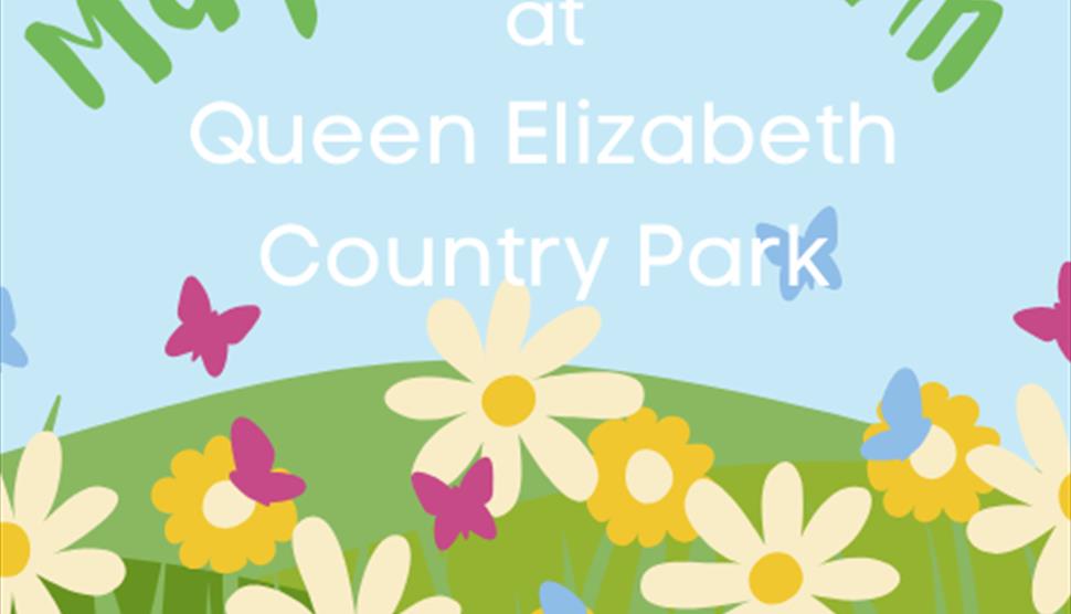 May Half Term at Queen Elizabeth Country Park