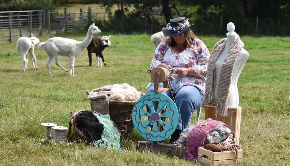 Spinning alpaca fibre