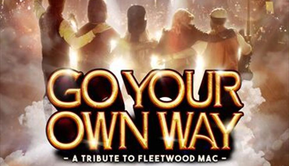 Go Your Own Way at Princes Hall show poster