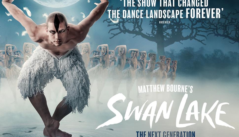 Male ballet dancer dressed as swan with a heard of swans in a line behind