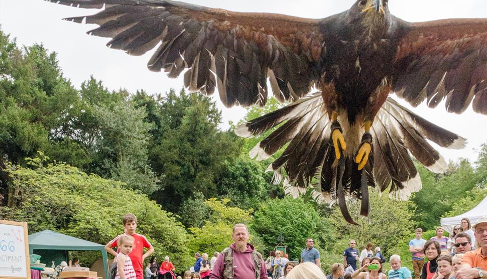 Droxford Country Fair