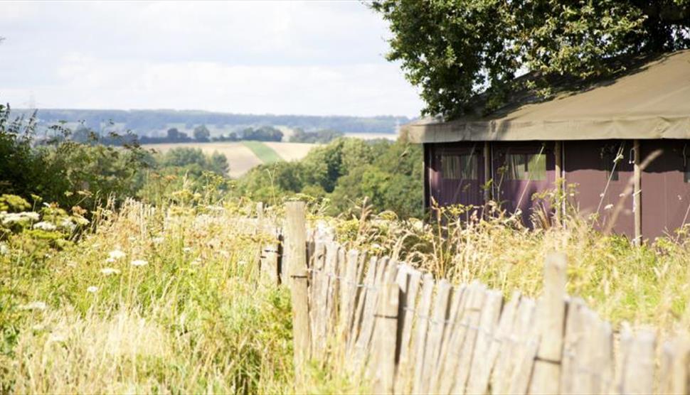 Feather Down - Manor Farm