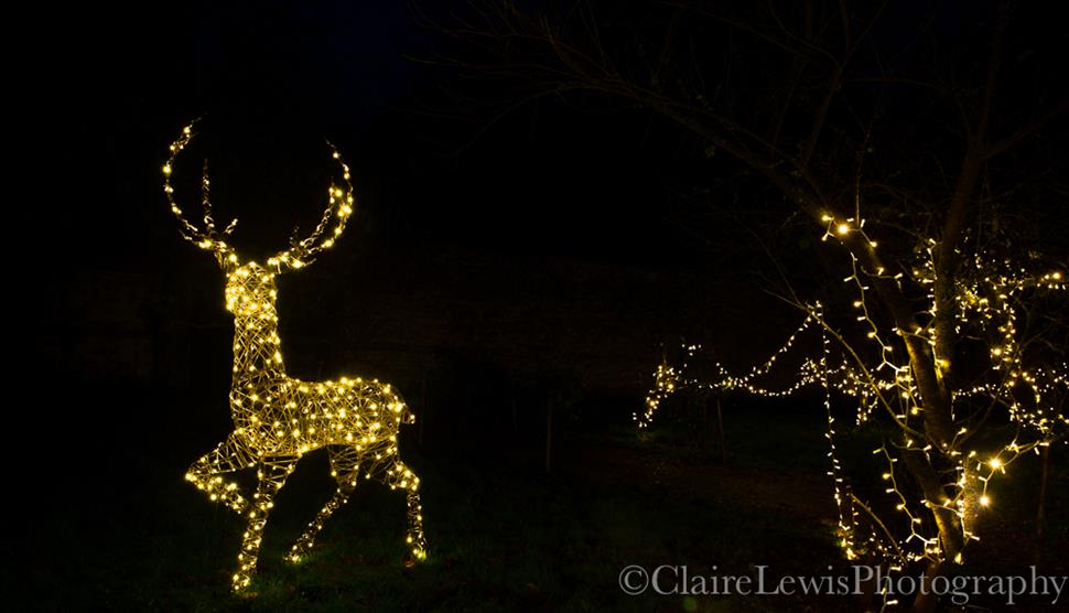 The Glimmering Gardens at Chawton House