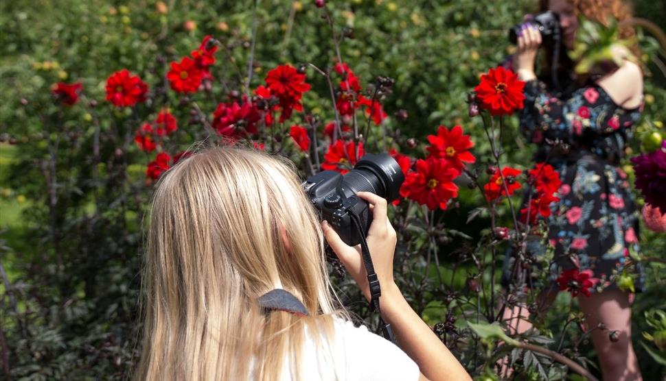 Spring Flowers Family Photography Workshop at Chawton House