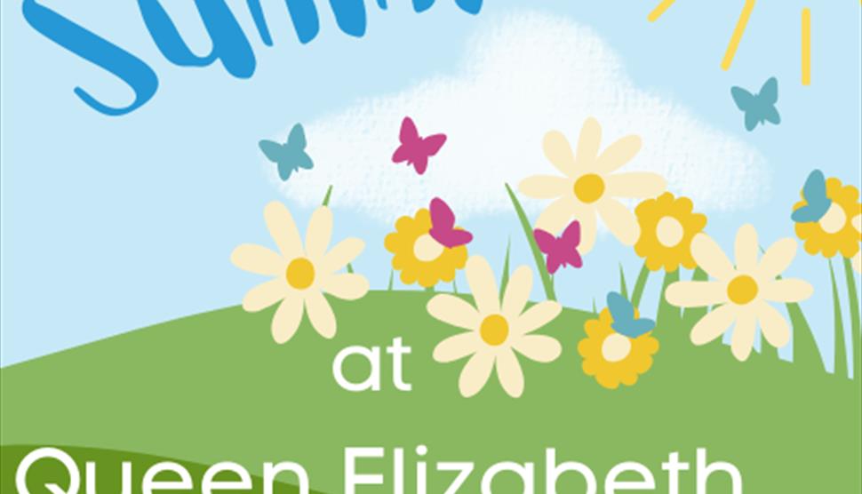 Summer at Queen Elizabeth Country Park