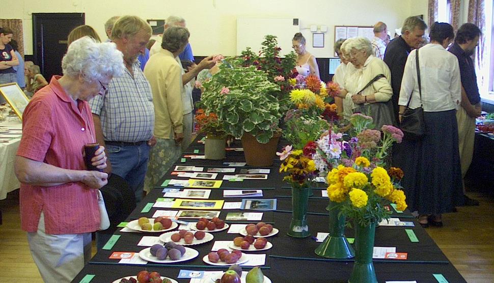 51st Sherfield Show