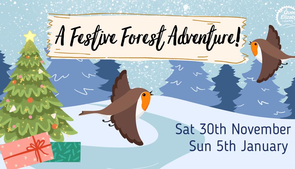 A Festive Forest Adventure! At Queen Elizabeth Country Park