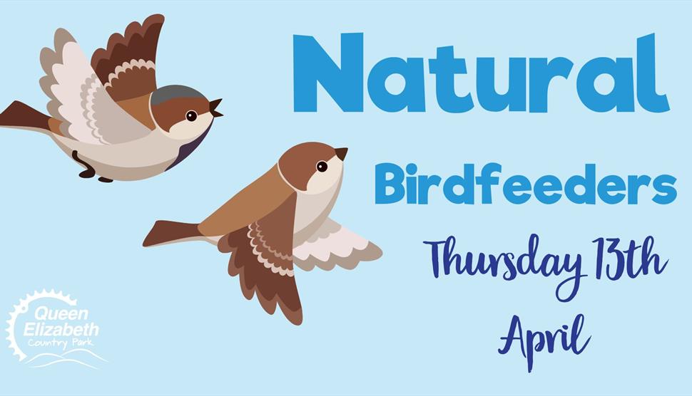 Natural Birdfeeders Workshop at Queen Elizabeth Country Park
