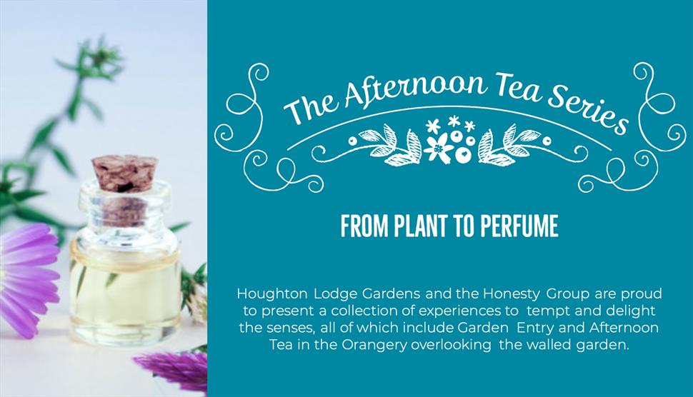 The Afternoon Tea Series: From Plant to Perfume at Houghton Lodge Gardens