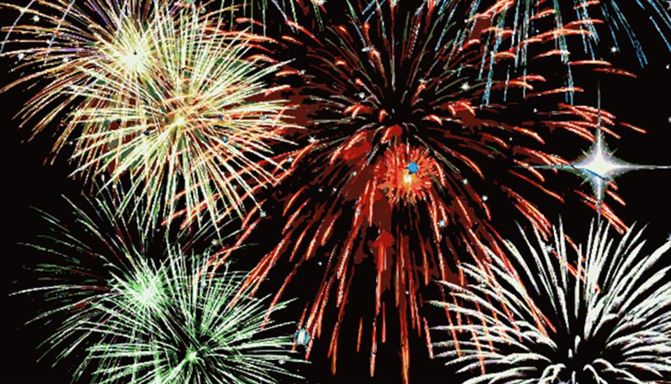 Colden Common Bonfire and Fireworks