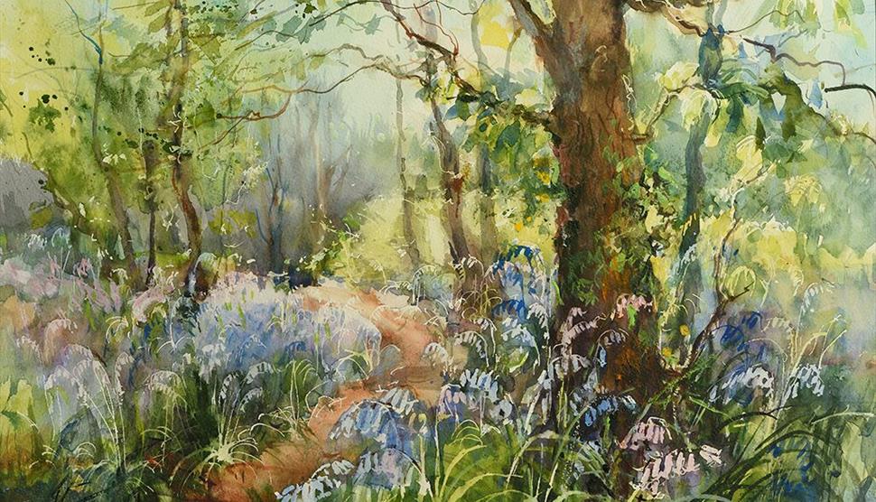 Painting a Bluebell Wood at Sir Harold Hillier Gardens