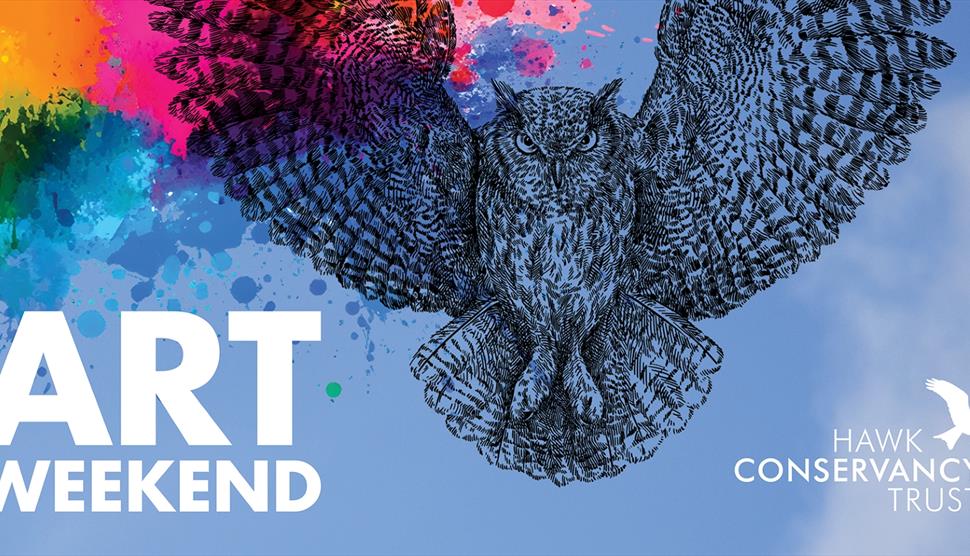 an owl flying at the screen with splashes of paint behind