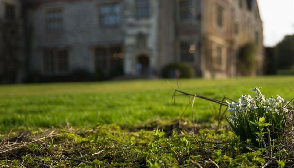 Snow Drops at Chawton House Library