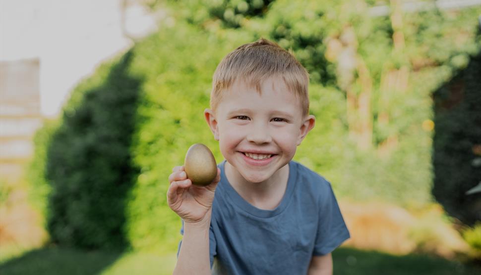 Find a golden egg at Longdown