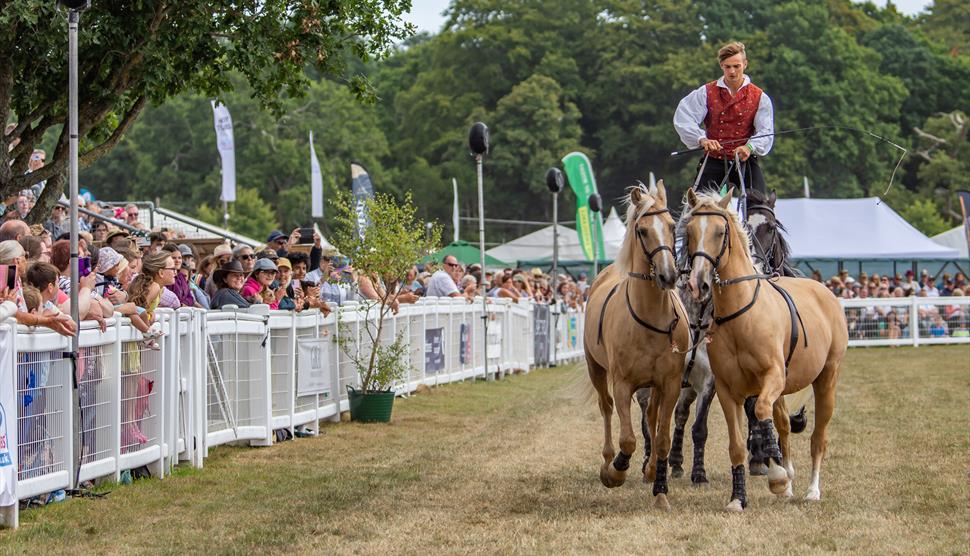 The New Forest and Hampshire County Show
