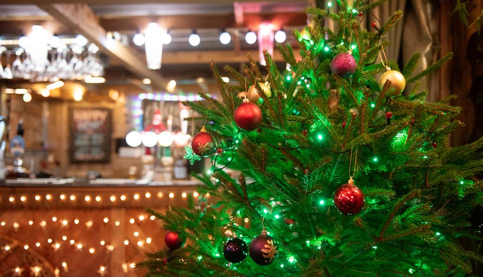 Christmas at Back of Beyond Touring Park