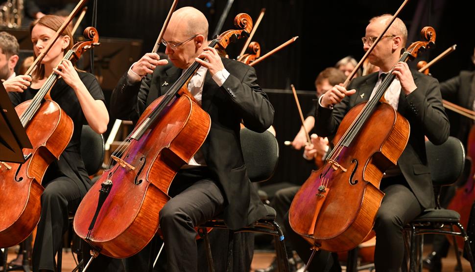 Bournemouth Symphony Orchestra performing in a row onstage