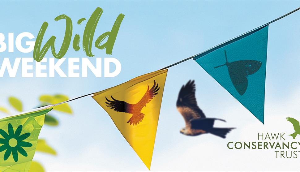 Big Wild Weekend at Hawk Conservancy Trust