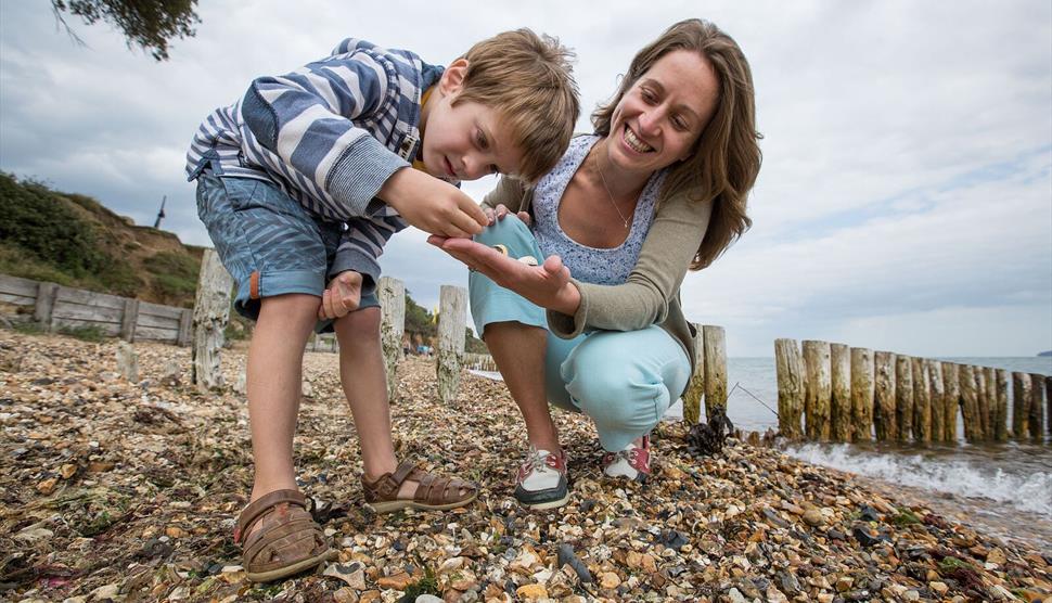 Wild Play Wander at Lepe Country Park