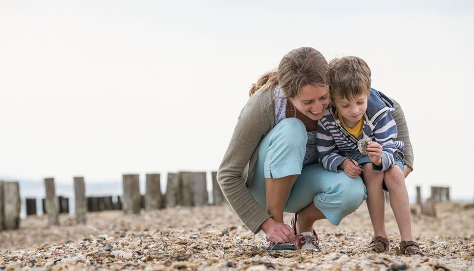 Seashore Safari at Lepe Country Park