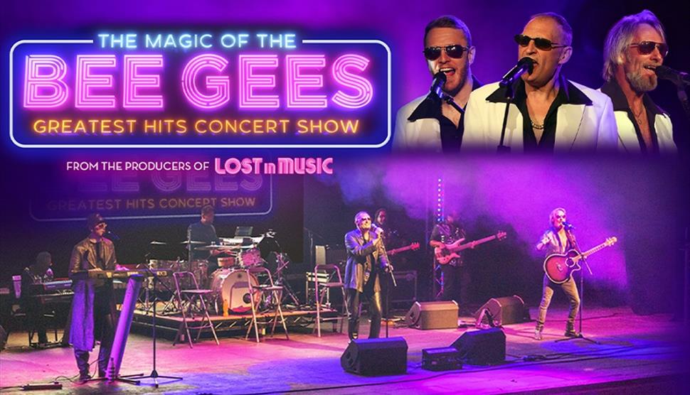 Mix of images for The Magic of the Bee Gees.