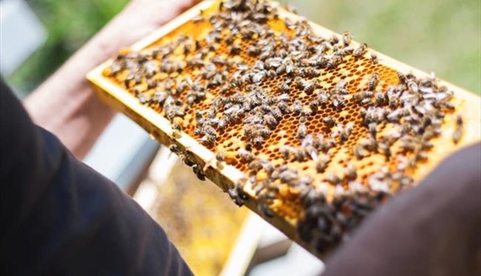 Beer, Bread & Bees Festival at Butser Ancient Farm