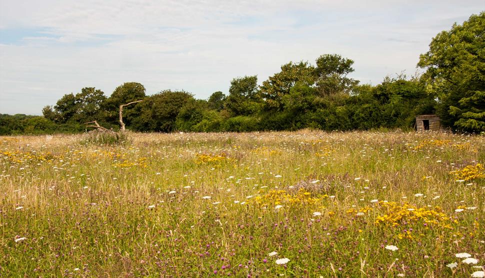 Biodiversity Breakfast at Hawk Conservancy Trust