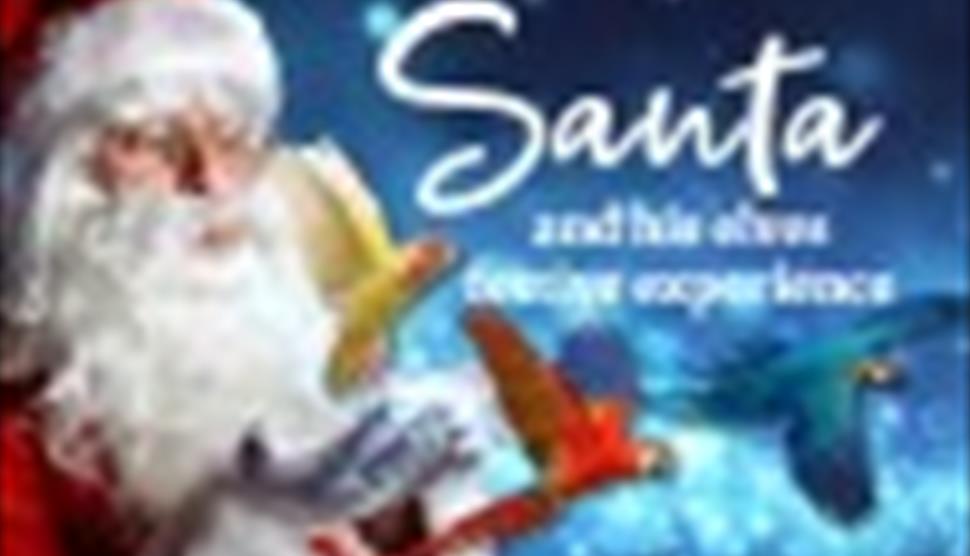 Join Santa and his Toy Shop Elves