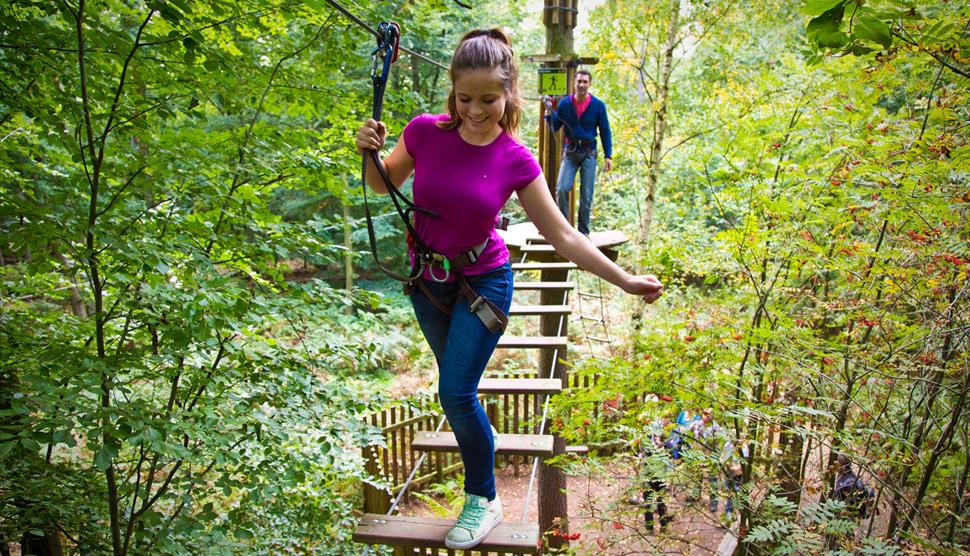 Net crossing at Go Ape!