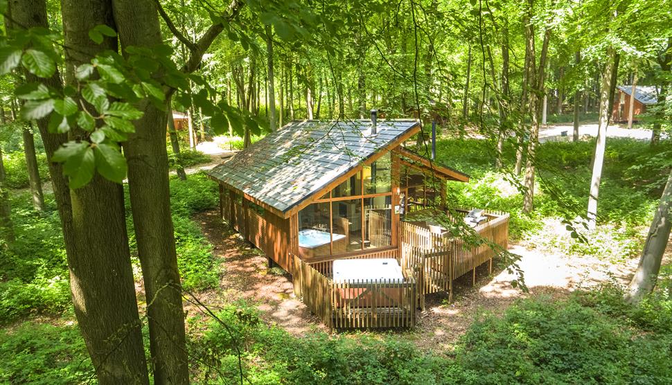 Blackwood Forest Cabin near Winchester, Hampshire