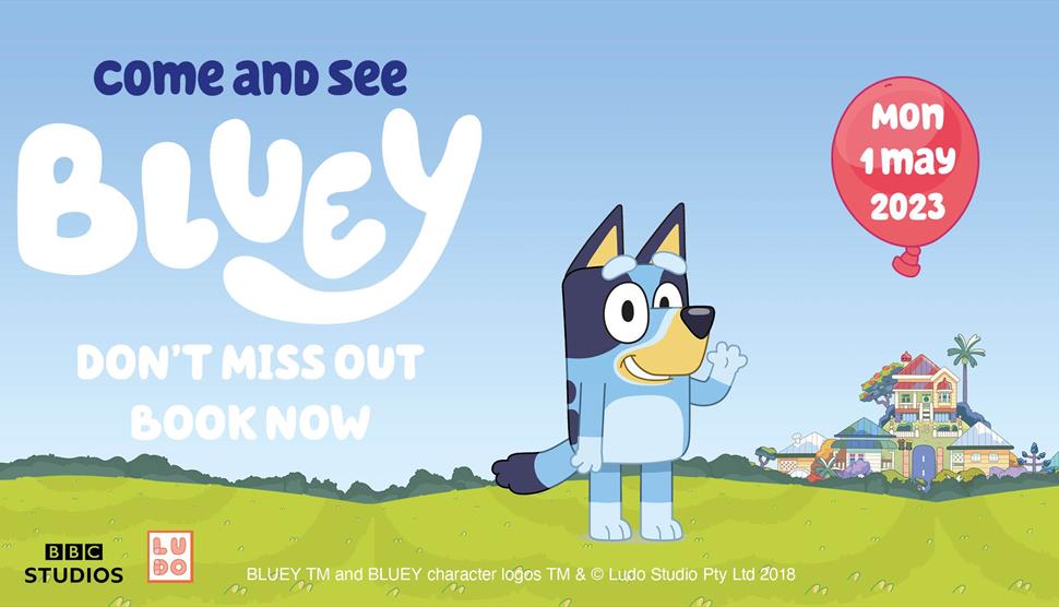 Come and see Bluey at Birdworld